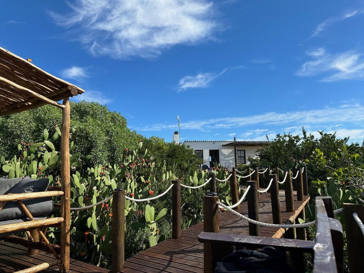 Ostrich Cottage At Les Wings Private Game Farm Groot-Jongensfontein Luaran gambar