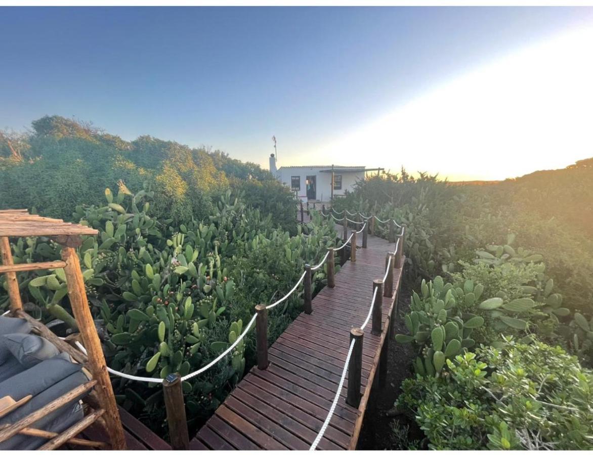 Ostrich Cottage At Les Wings Private Game Farm Groot-Jongensfontein Luaran gambar